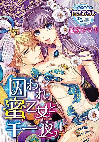 Cover image for the manga called Toraware Mitsushoujo to Senichiya