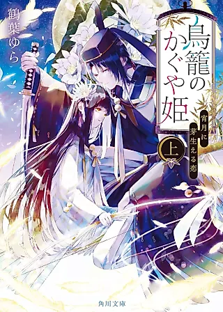 Cover image for the novel called Torikago no Kaguyahime