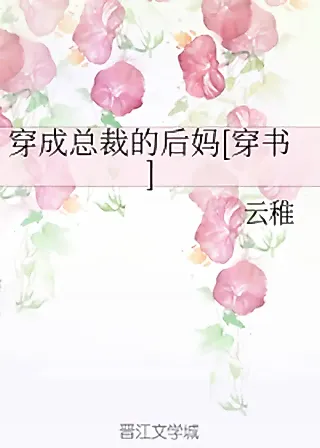 Cover image for the novel called Transmigrated Into the President’s Stepmother