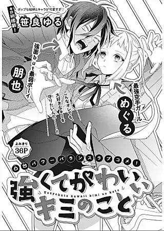 Cover image for the manga called Tsuyokute Kawaii Kimi no Koto