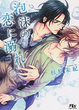 Cover image for the novel called Utakata no Koi ni Obore