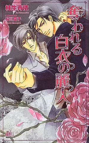 Cover image for the novel called Ubawa Reru Hakui no Reijin