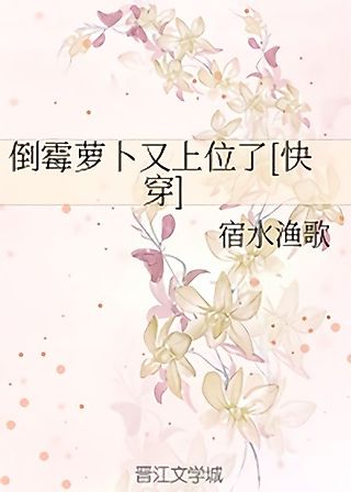 Cover image for the novel called Unlucky Radish Occupied the Seat Again
