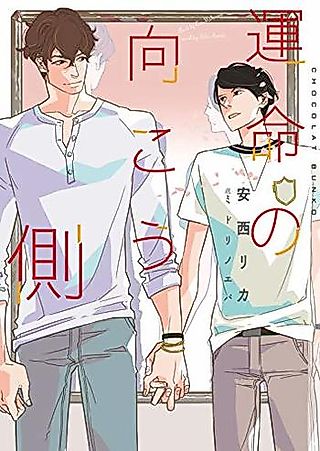 Cover image for the novel called Unmei no Mukougawa