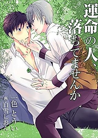 Cover image for the novel called Unmei no Hito, Ochitemasen ka