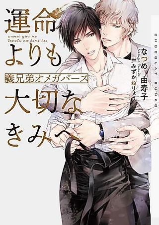 Cover image for the novel called Unmei Yori mo Taisetsu na Kimi e: Gikyoudai Omegaverse