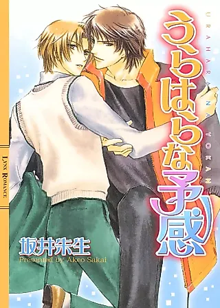 Cover image for the novel called Urahara na Yokan