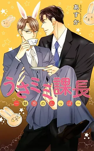 Cover image for the novel called Usamimi Kachou