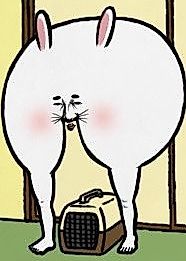 Cover image for the manga called Usagi no Vanigoro