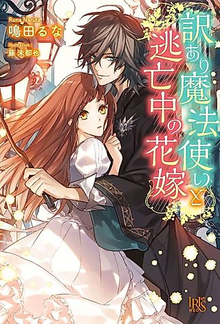 Cover image for the novel called Wakeari Mahou Tsukai to Toubouchuu no Hanayome