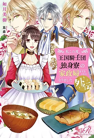 Cover image for the novel called Watashi Konotabi, Oukoku Kishidan Dokushinryou no Kaseifu wo Suru Koto ni Narimashita Gaiden