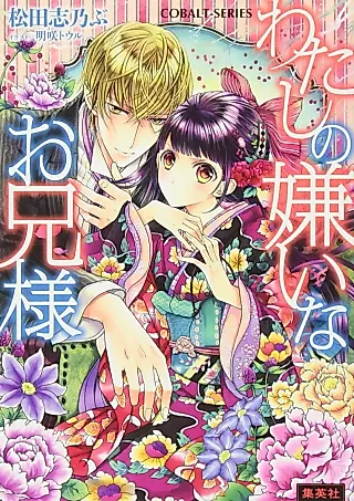 Cover image for the novel called Watashi no Kirai na Oniisama
