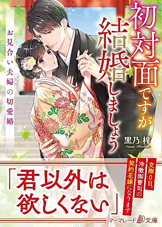 Cover image for the novel called We've Never Met, But Let's Get Married