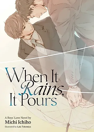 Cover image for the novel called When It Rains, It Pours