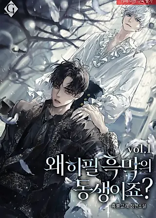 Cover image for the novel called Why Did I Have to Transmigrate as the Villain’s Younger Brother?