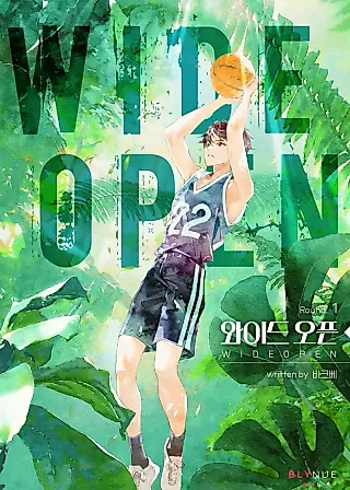 Cover image for the novel called Wide Open