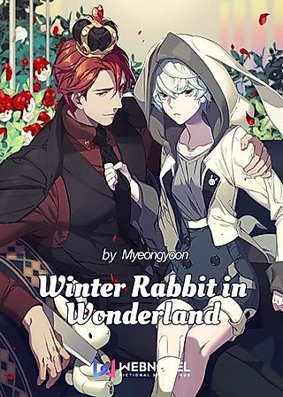 Cover image for the novel called Winter Rabbit in Wonderland