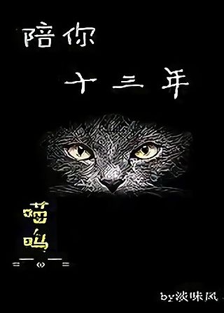 Cover image for the novel called With You for Thirteen Years