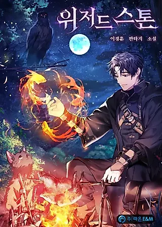 Cover image for the novel called Wizard Stone
