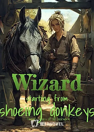Cover image for the novel called Wizard Starting From Shoeing Donkeys