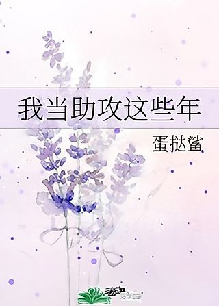 Cover image for the novel called Wo Dang Zhugong Zhexie Nian