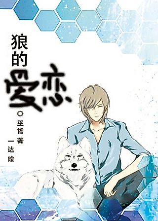 Cover image for the novel called Wolf’s Temptation