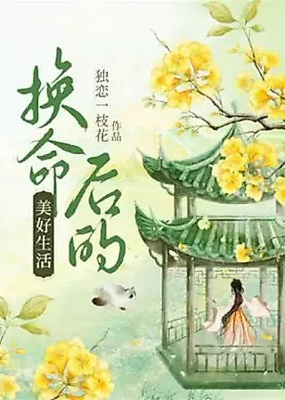 Cover image for the novel called Wonderful Life After Exchanging Fate