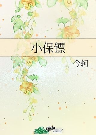 Cover image for the novel called Xiao Baobiao