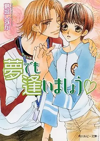 Cover image for the novel called Yume demo Aimashou
