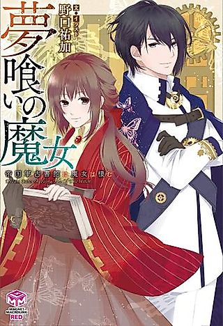 Cover image for the novel called Dream Eater: A Fairy Tail of the Witch