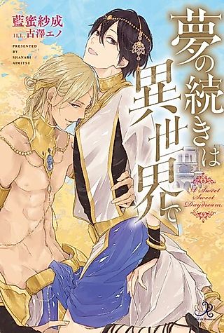 Cover image for the novel called Continuation of the Dream in Another World