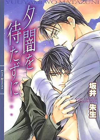 Cover image for the novel called Yuuyami wo Matazu ni