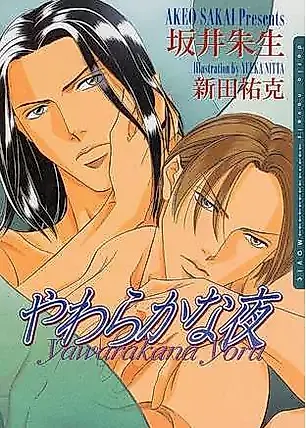 Cover image for the novel called Yawaraka na Yoru