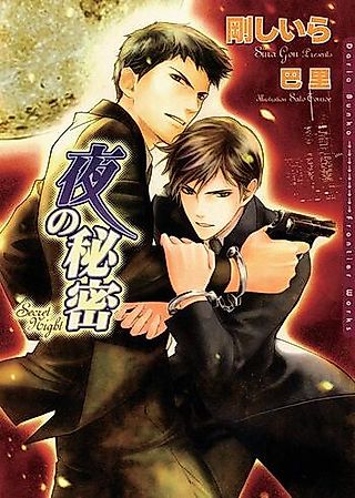 Cover image for the novel called Secret Night