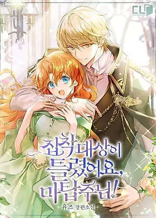 Cover image for the novel called You Are Obsessing Over the Wrong Person, Lord of the Tower!