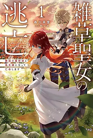 Cover image for the novel called Zassou Seijo no Toubou: Ringoku no Majutsushi to Nise Fuufu ni Natte Boumeishimasu