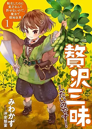 Cover image for the novel called Zeitakuzanmai Shitai no desu! Tenseishita no ni Binbou nante Yurusenai node, Mahou de Ryouchi Kaikaku