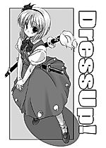 Cover image for the other called Touhou - Dress Up!