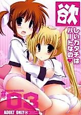 Cover image for the other called Mahou Shoujo Lyrical Nanoha dj - Hoshii Katachi wa Heart nano