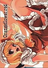 Cover image for the other called Touhou dj - Orangeflower.red