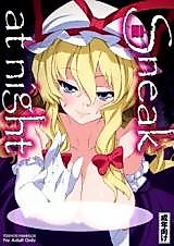 Cover image for the other called Touhou dj - HI-Sneak at night