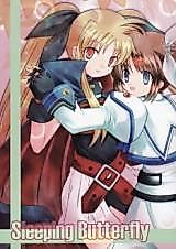 Cover image for the other called Mahou Shoujo Lyrical Nanoha dj - Sleeping Butterfly