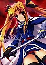 Cover image for the other called Mahou Shoujo Lyrical Nanoha dj - Otona ni Natte mo Fate-chan!