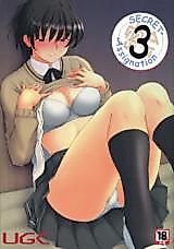Cover image for the other called Secret Assignation