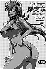 Cover image for the other called Zero no Tsukaima dj - Kirche