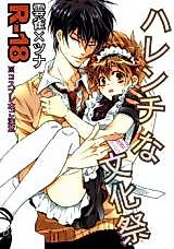 Cover image for the other called Katekyo Hitman Reborn! dj - Harenchi na Bunkasai