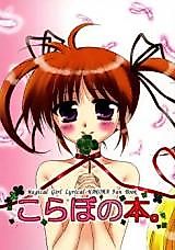 Cover image for the other called Mahou Shoujo Lyrical Nanoha dj - Nom