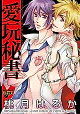Cover image for the manga called Aigan Hisho