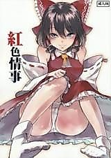Cover image for the other called Touhou Project dj - Kokushoki Joushi