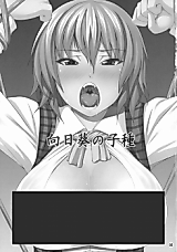Cover image for the other called Touhou dj - Himawari no Kodane